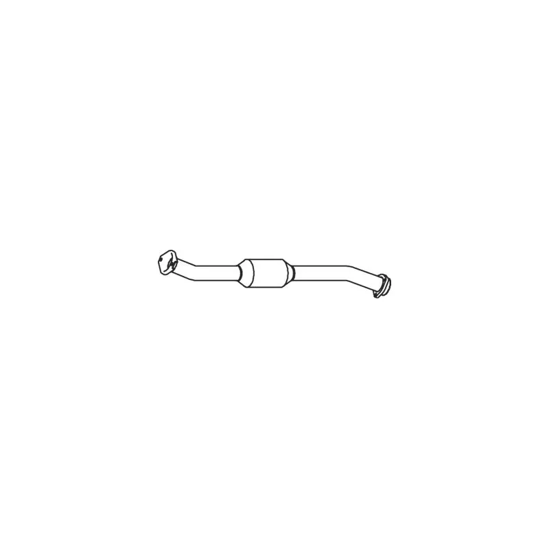 Catalyseur DINEX 33356