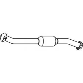Catalyseur DINEX 33357