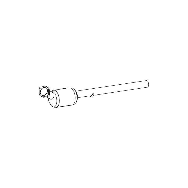 Catalyseur DINEX 56368