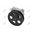 Pompe hydraulique, direction ABAKUS 140-01-017 - Visuel 1