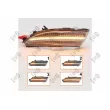 Kit de feux clignotants ABAKUS L42-140-002LED-D - Visuel 3