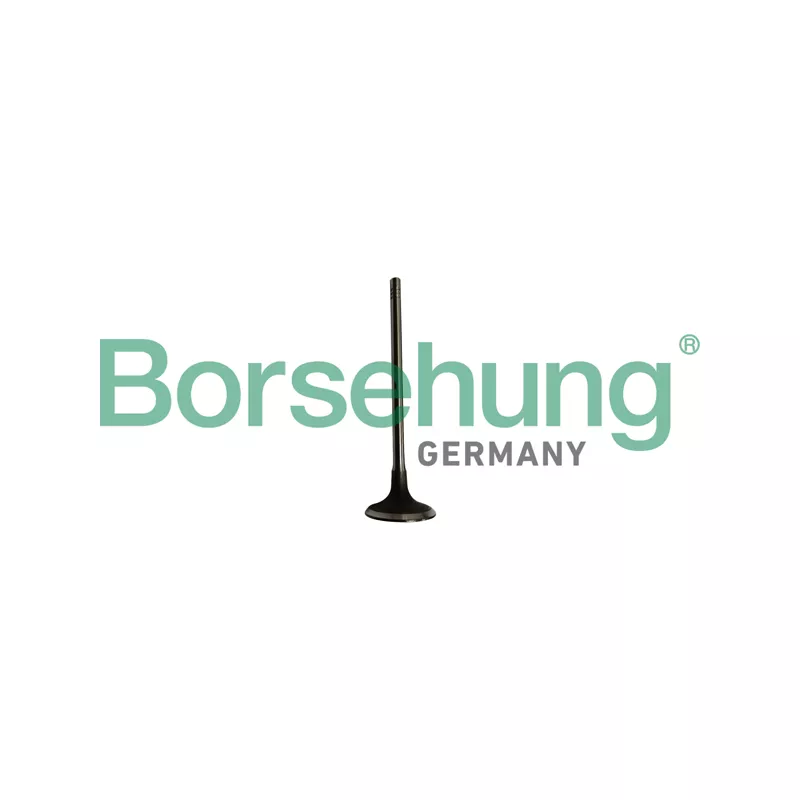 Soupape d'admission Borsehung B10334