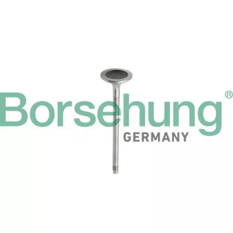 Jeu de segments de pistons Borsehung B10343