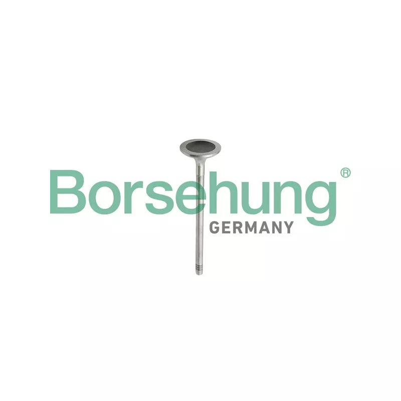 Jeu de segments de pistons Borsehung B10343