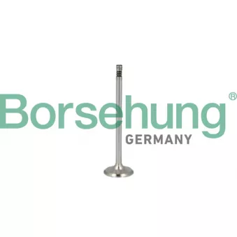 Jeu de segments de pistons Borsehung B10346