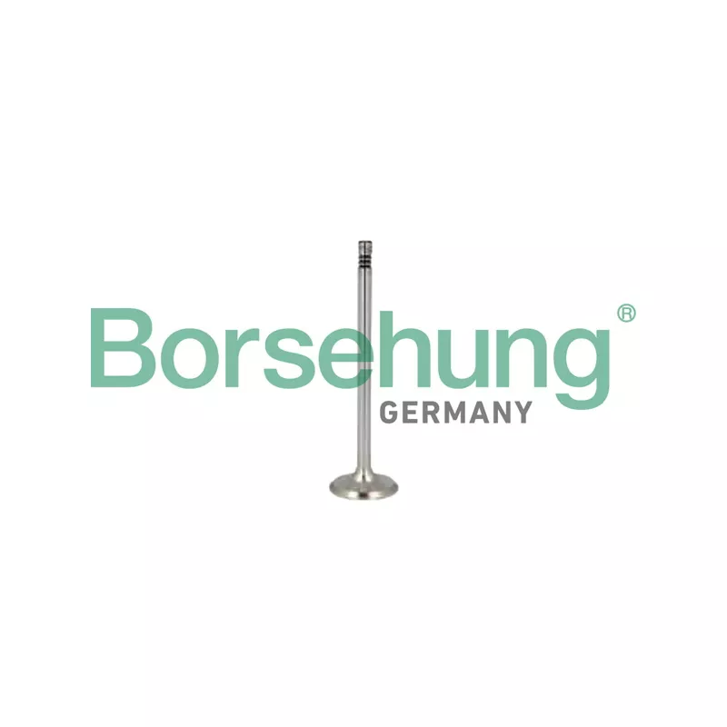 Jeu de segments de pistons Borsehung B10346