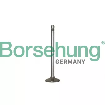 Jeu de segments de pistons Borsehung B10347