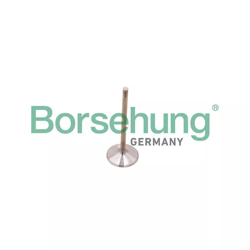Jeu de segments de pistons Borsehung B10348
