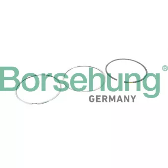 Jeu de segments de pistons Borsehung B10364