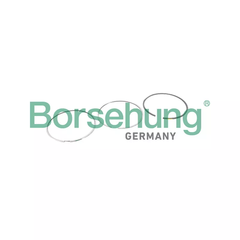 Jeu de segments de pistons Borsehung B10364