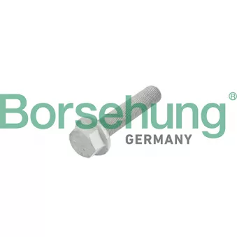 Vis de centrage poulie-vilebrequin Borsehung