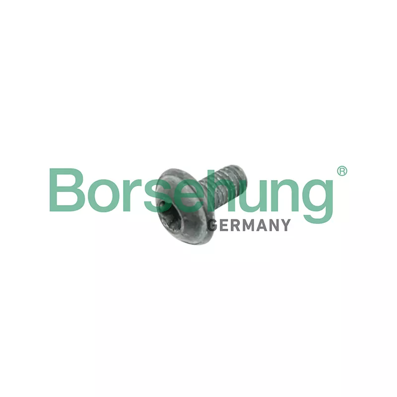 Vis, disque de frein Borsehung B10635
