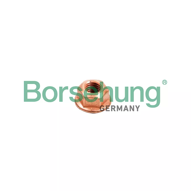 Vis, système d'échappement Borsehung B10638