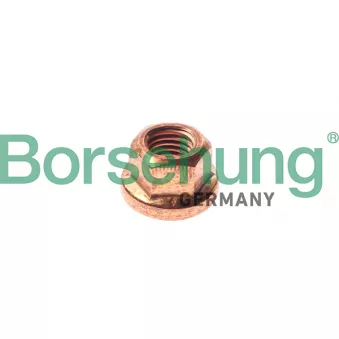Écrou, collecteur des gaz d'échappement Borsehung B10639
