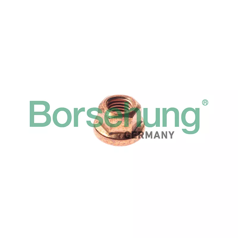 Écrou, collecteur des gaz d'échappement Borsehung B10639