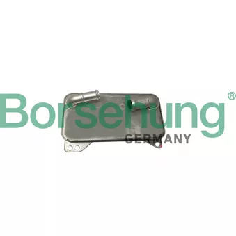 Radiateur d'huile Borsehung