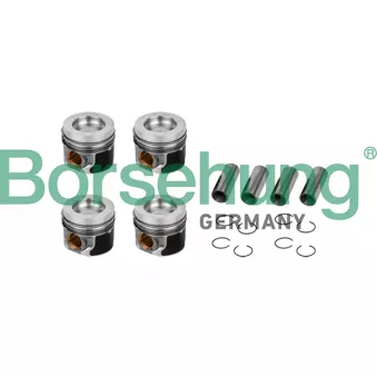 Piston Borsehung B11132