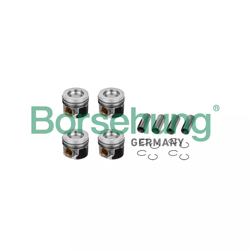 Piston Borsehung B11132