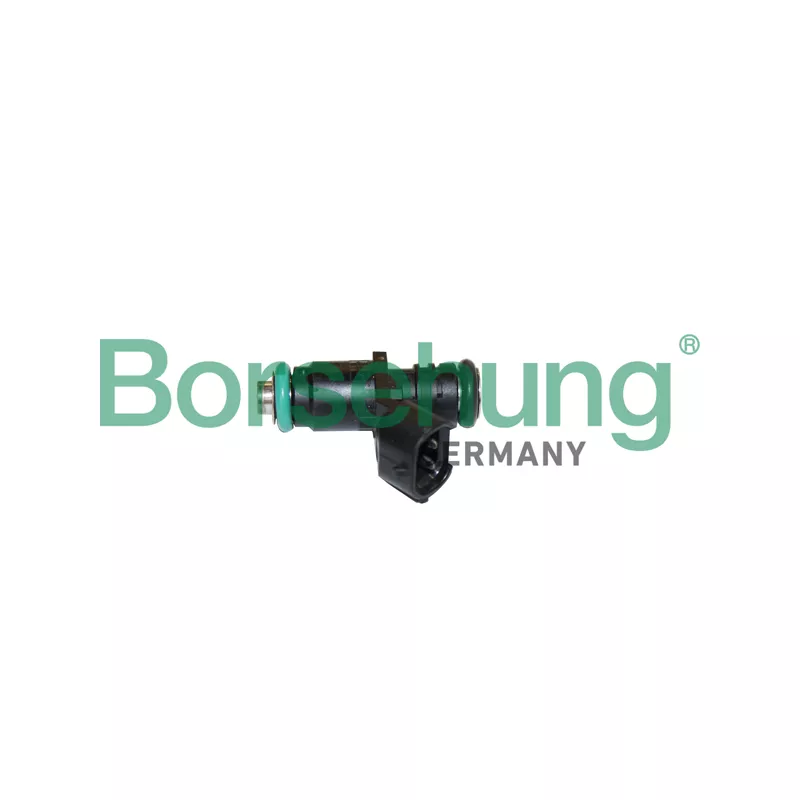 Injecteur Borsehung B11165