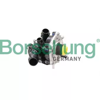 Kit pompe à eau Borsehung B11209