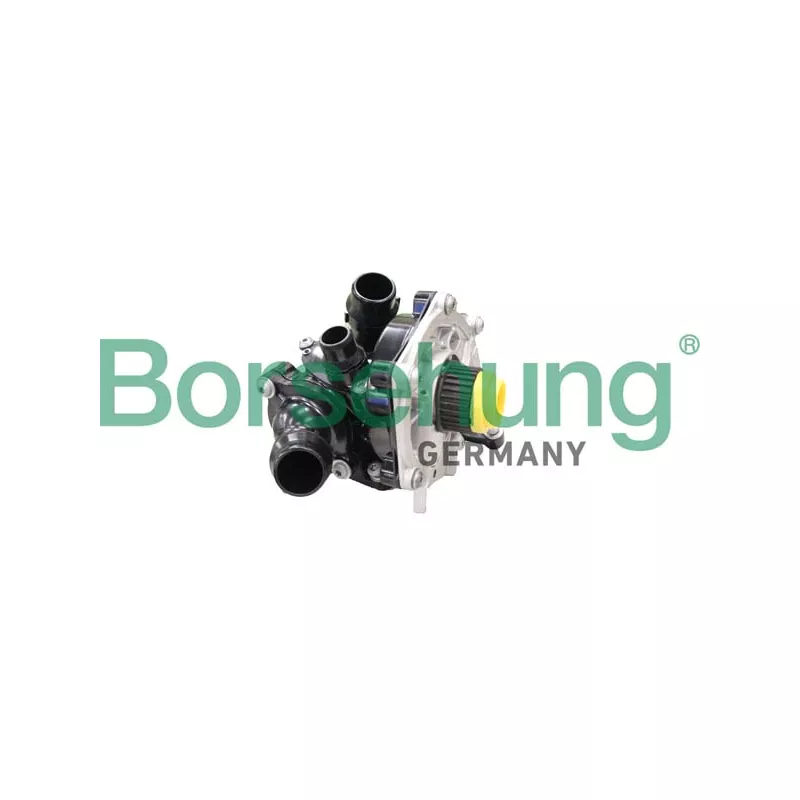 Kit pompe à eau Borsehung B11209