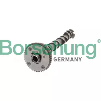 Arbre à came Borsehung B11319