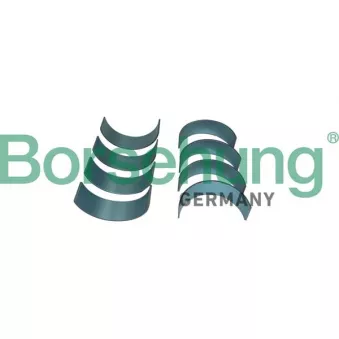 Coussinet de bielle Borsehung B11382