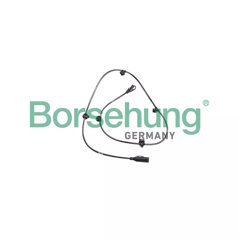 Capteur, vitesse de roue Borsehung B12253