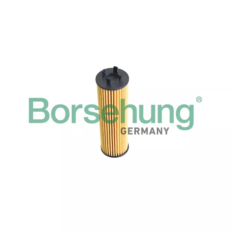 Filtre à huile Borsehung B12286