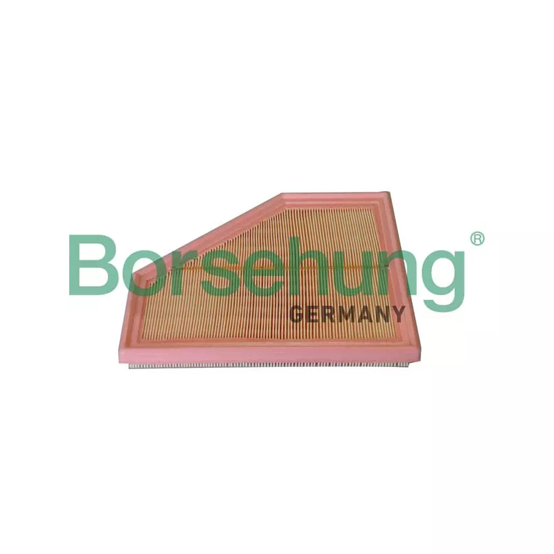 Filtre, air de l'habitacle Borsehung B12291