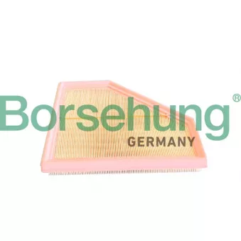 Filtre, air de l'habitacle Borsehung B12292