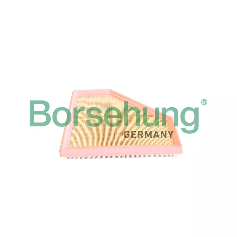 Filtre, air de l'habitacle Borsehung B12292