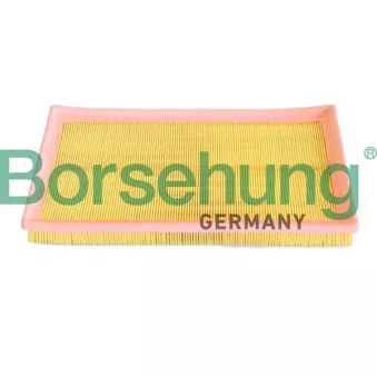 Filtre, air de l'habitacle Borsehung B12293