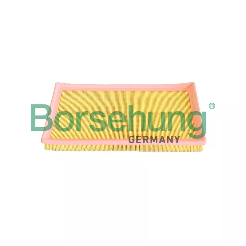 Filtre, air de l'habitacle Borsehung B12293