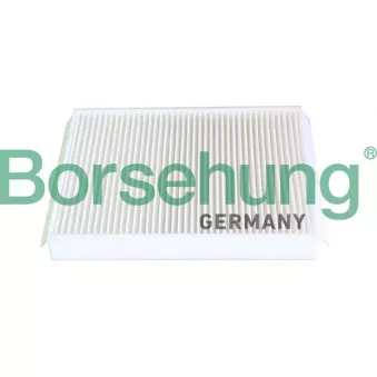 Filtre, air de l'habitacle Borsehung B12294