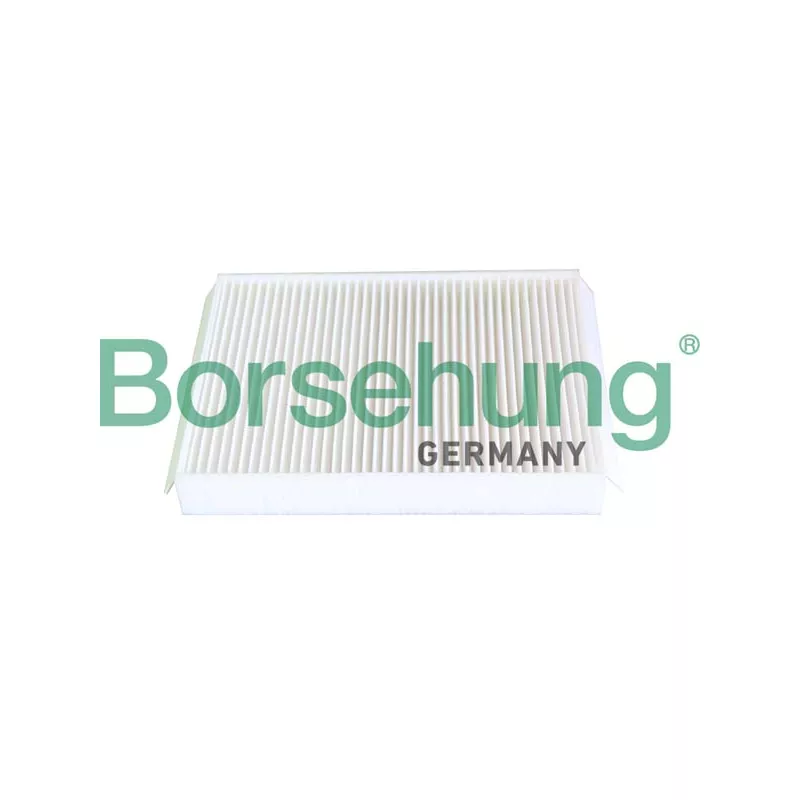 Filtre, air de l'habitacle Borsehung B12294