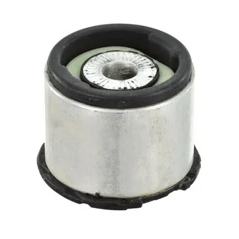 Suspension, corps de l'essieu DELPHI TD1095W