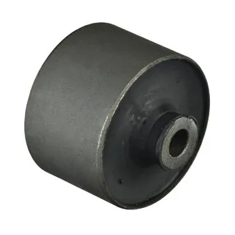 Suspension, corps de l'essieu DELPHI TD1101W