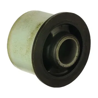Suspension, corps de l'essieu DELPHI TD1254W