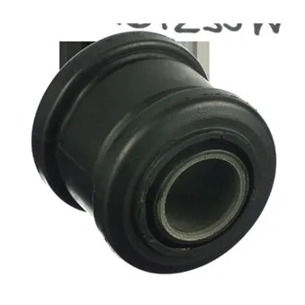 Suspension, corps de l'essieu DELPHI TD1255W