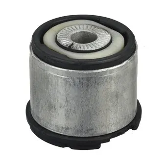 Suspension, corps de l'essieu DELPHI TD1378W