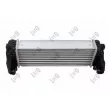Intercooler, échangeur ABAKUS 017-018-0019 - Visuel 2