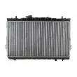 Radiateur, refroidissement du moteur ABAKUS 019-017-0008 - Visuel 2