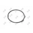 Cadre, projecteur antibrouillard ABAKUS 053-14-548 - Visuel 1