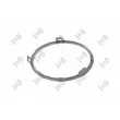 Cadre, projecteur antibrouillard ABAKUS 053-14-548 - Visuel 2