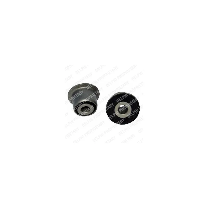 Kit de 2 silent bloc de suspension (train avant) DELPHI TD300W
