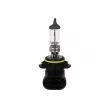 Ampoule, projecteur longue portée OSRAM 4050300012650 - Visuel 1