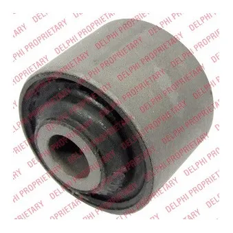 Suspension, corps de l'essieu DELPHI TD695W
