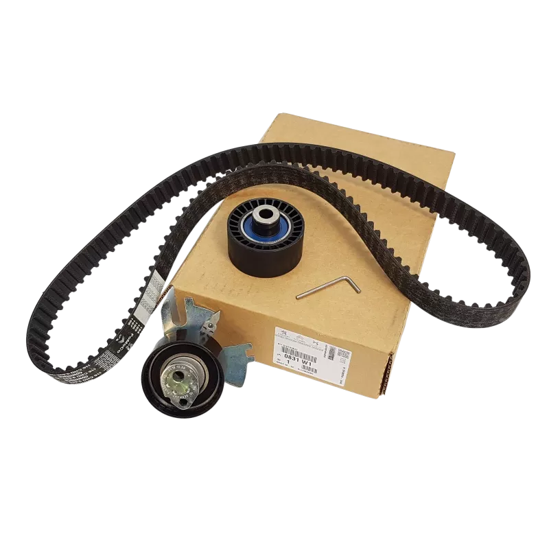 Kit de distribution OE 0831W1