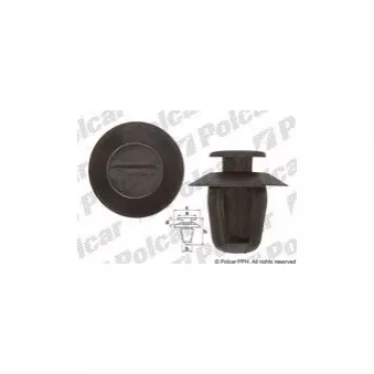 Clip, enjoliveur Polcar 81002352